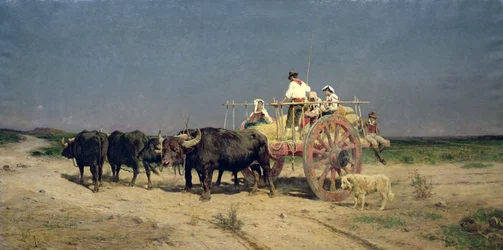 Vagn med Buffalo vid stranden